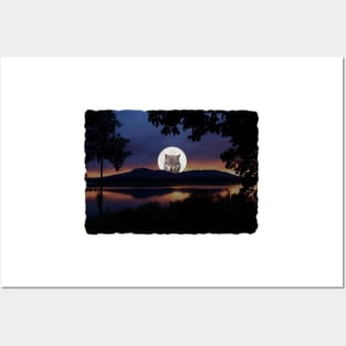 Wolf In Moon Rustic Lake Scene Posters and Art